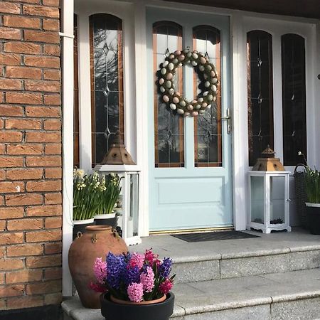 En-Suite Double Room. Dublin Airport, Fairyhouse, Tayto Park, Ashbourne Close By. Bagian luar foto