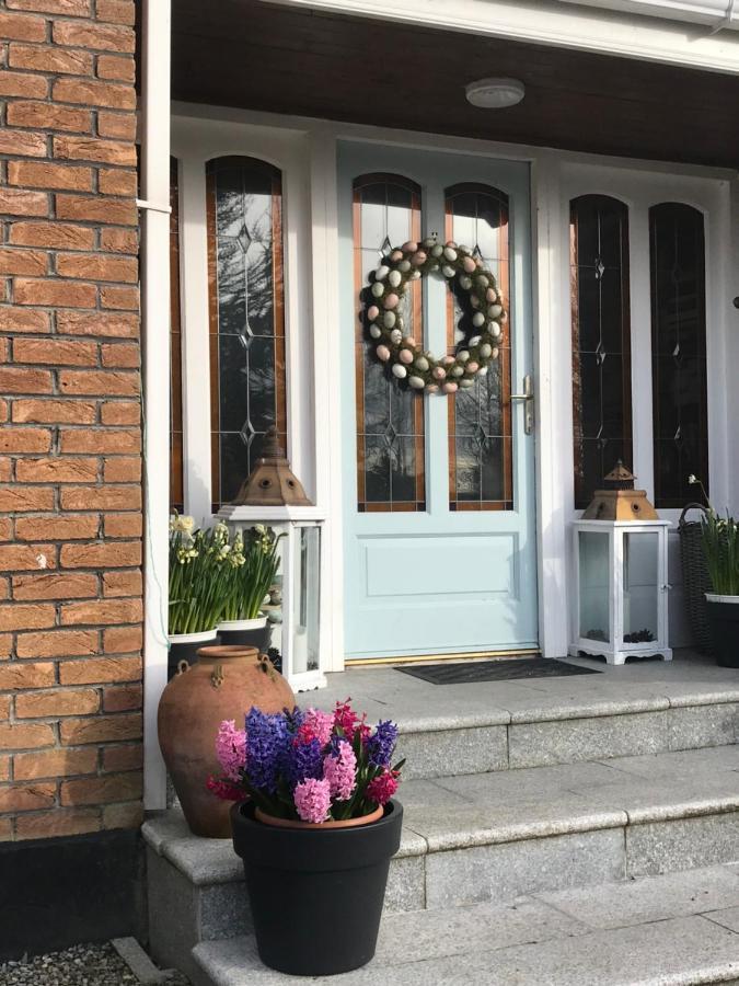 En-Suite Double Room. Dublin Airport, Fairyhouse, Tayto Park, Ashbourne Close By. Bagian luar foto